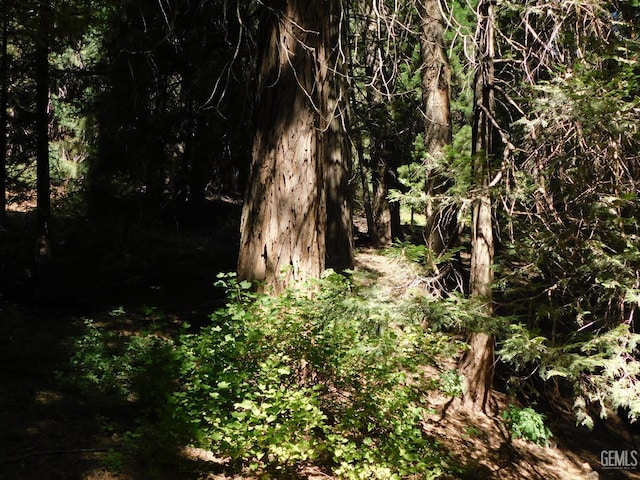 9525 Shirley Meadows Rd Unit 6, Wofford Heights, CA 93285 - view of undeveloped land