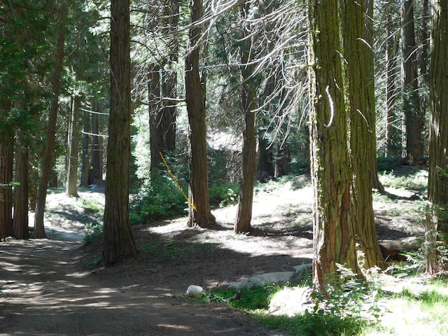 9525 Shirley Meadows Rd Unit 6, Wofford Heights, CA 93285 - view of woods