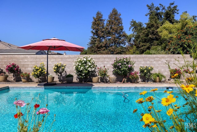 5512 Sicily Ct, Bakersfield, CA 93308 - view of pool featuring fence