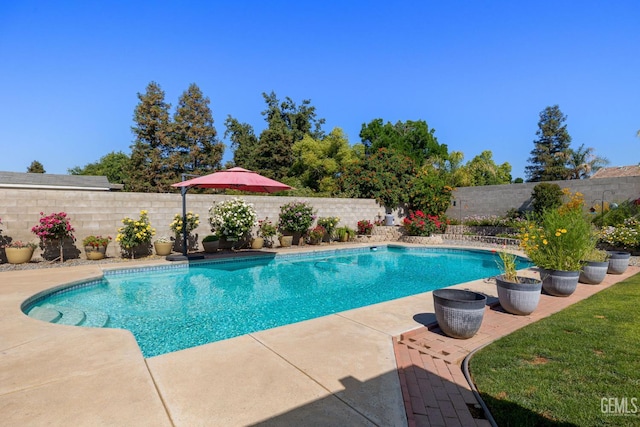 5512 Sicily Ct, Bakersfield, CA 93308 - view of pool with a fenced backyard and a patio