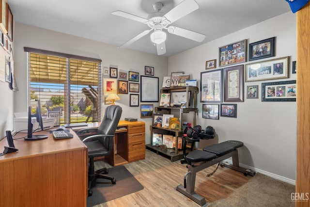 5512 Sicily Ct, Bakersfield, CA 93308 - office area with a ceiling fan, light wood-style flooring, and baseboards