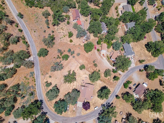 22381 William Tell Trl, Tehachapi, CA 93561 - aerial view of property's location