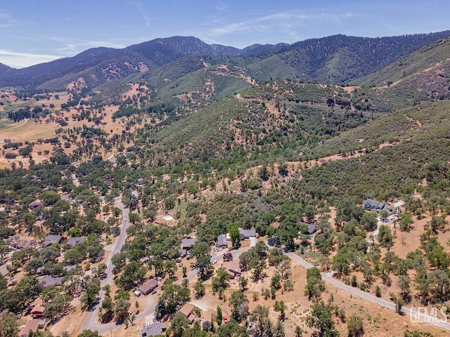 22381 William Tell Trl, Tehachapi, CA 93561 - view of mountain backdrop