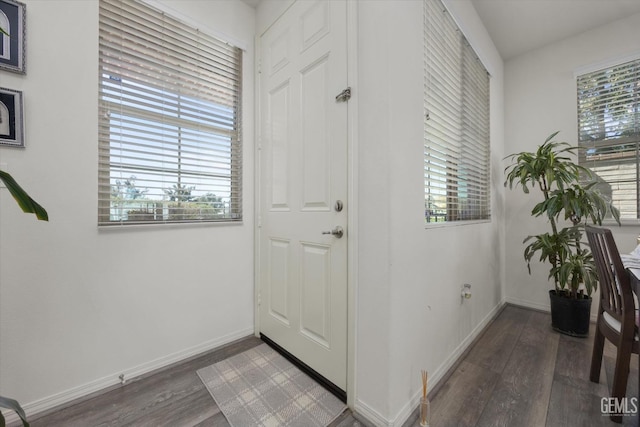 foyer entrance featuring dark wood-type flooring, plenty of natural light, and baseboards