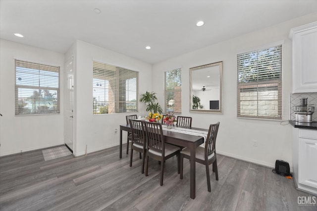 dining space with wood finished floors, a healthy amount of sunlight, and baseboards