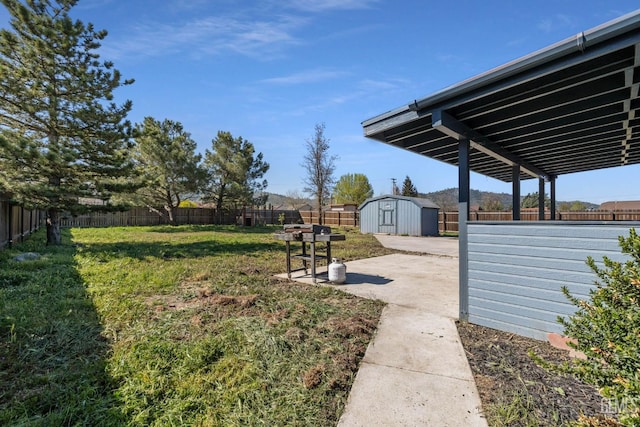 view of yard with a patio, a fenced backyard, a shed, and an outbuilding