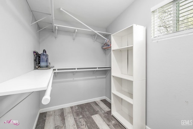 walk in closet featuring wood finished floors