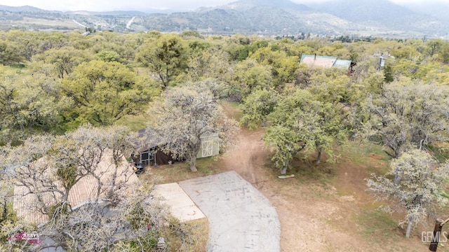 19857 Adalante Ct, Tehachapi, CA 93561 - photo 64