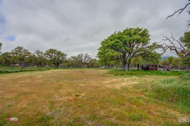 view of yard featuring a rural view