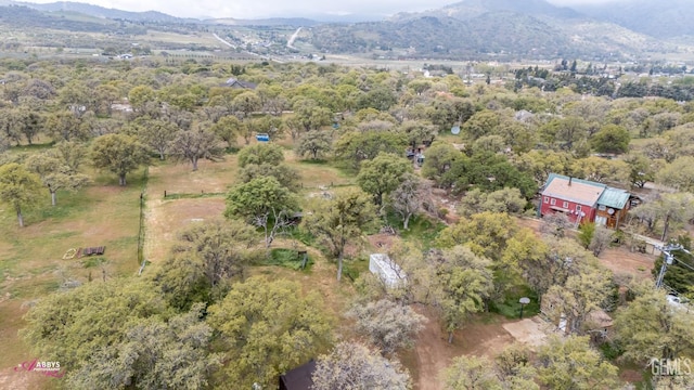 birds eye view of property with a mountain view