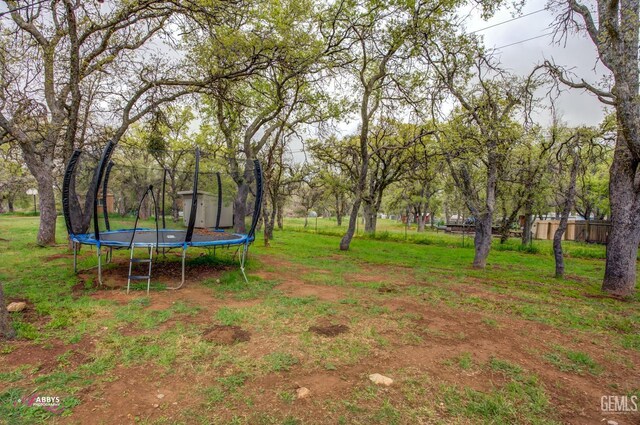 view of yard with a storage unit, an outdoor structure, and a trampoline