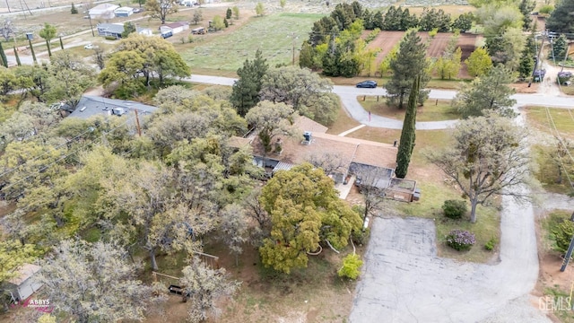 drone / aerial view