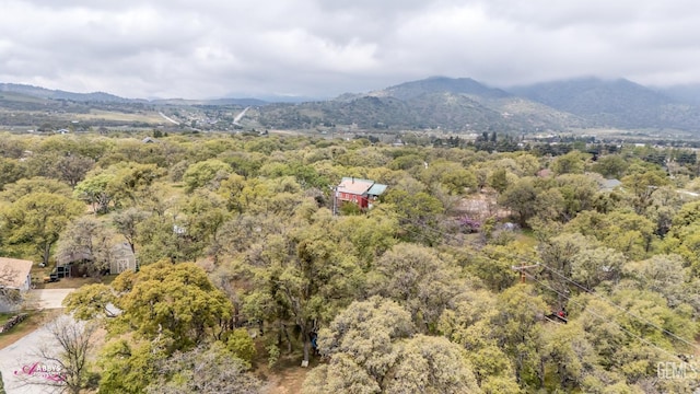 view of mountain feature with a wooded view
