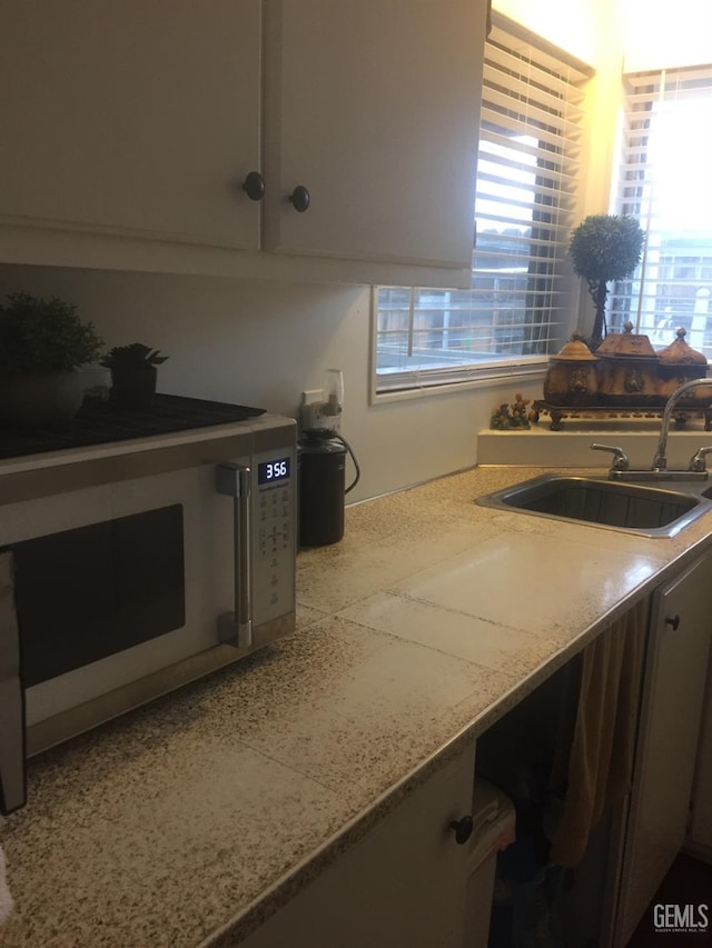 kitchen featuring plenty of natural light and sink