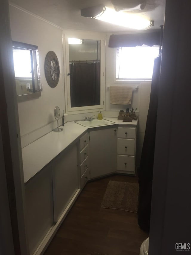 bathroom with hardwood / wood-style flooring, vanity, and a wealth of natural light