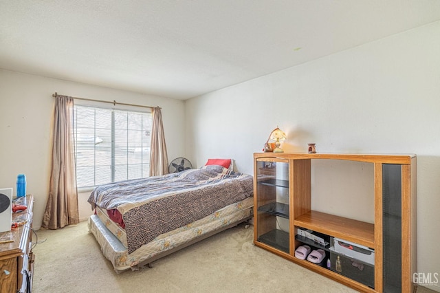 bedroom with carpet floors