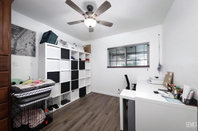 home office with ceiling fan and dark hardwood / wood-style flooring