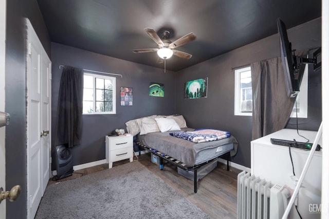 bedroom with ceiling fan, radiator heating unit, multiple windows, and light wood-type flooring