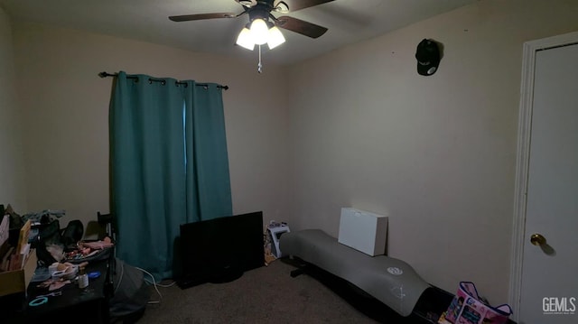 miscellaneous room with carpet floors and ceiling fan