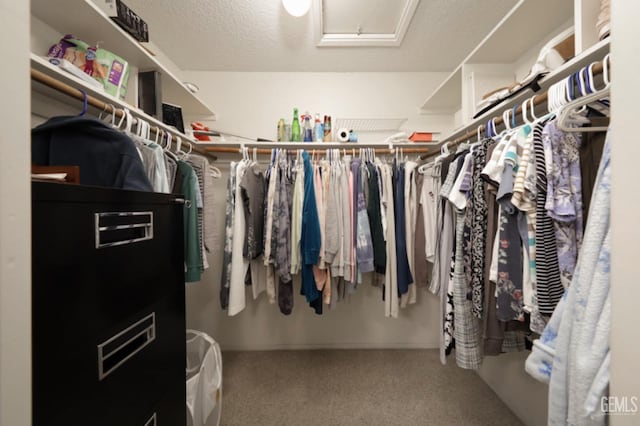 walk in closet featuring carpet