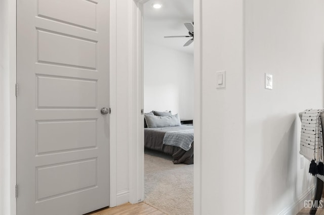 walk in closet featuring ceiling fan and light wood finished floors