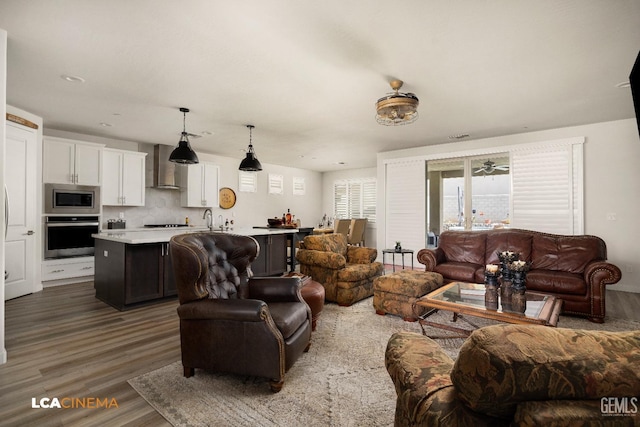 living room with sink and dark wood-type flooring