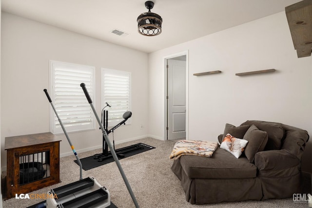 workout area featuring carpet floors