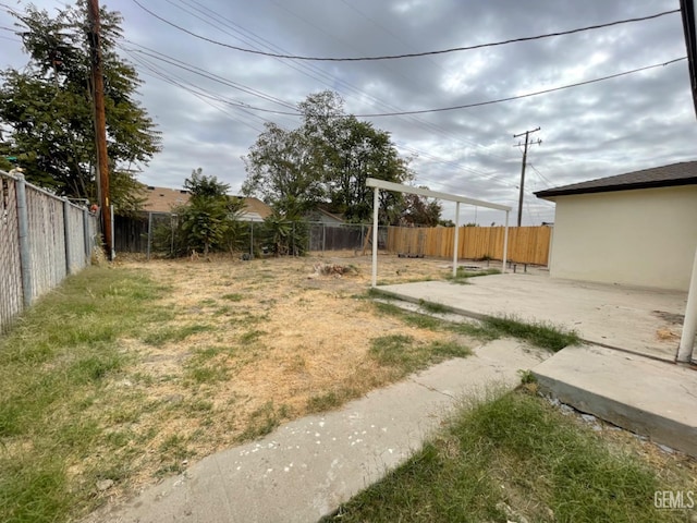 view of yard featuring a patio area