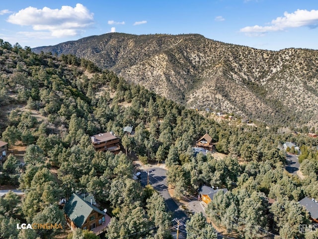 aerial view featuring a mountain view and a view of trees