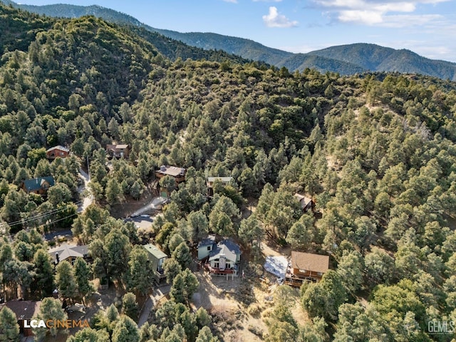 aerial view with a mountain view and a view of trees