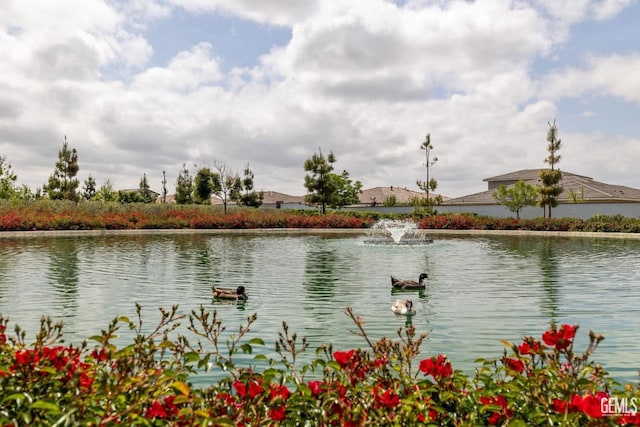 12703 Fairlawn Dr, Bakersfield, CA 93311 - water view