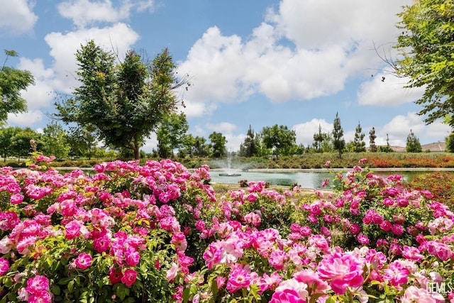 12703 Fairlawn Dr, Bakersfield, CA 93311 - view of property's community with a water view