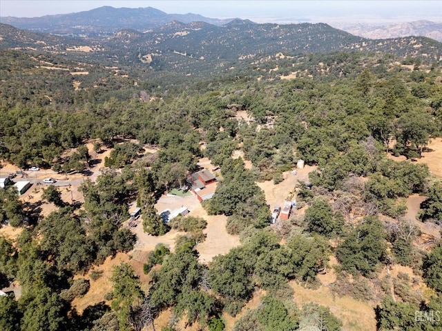 45071 Forest Dr, Posey, CA 93260 - bird's eye view of a mountain backdrop and a forest