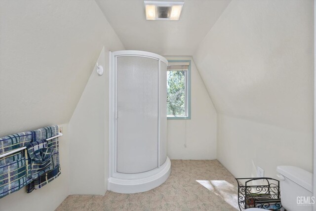 45071 Forest Dr, Posey, CA 93260 - full bathroom with a shower stall and lofted ceiling