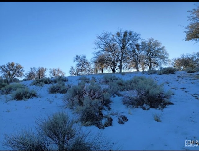 Listing photo 3 for 17900 Zurich Ct, Tehachapi CA 93561