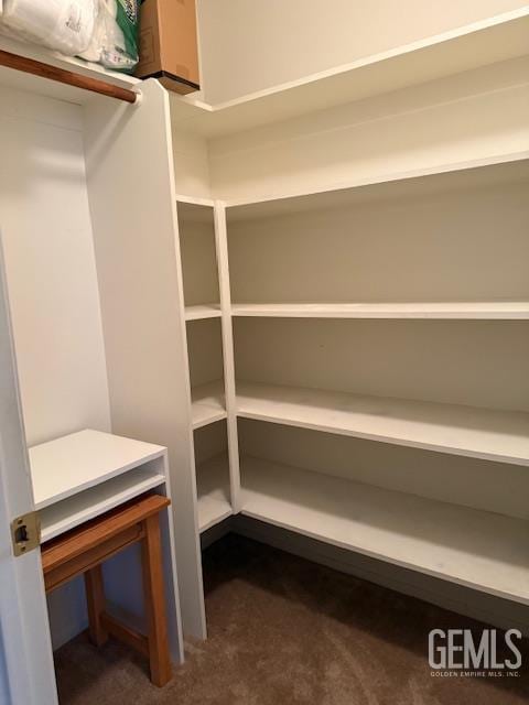 10011 Grand View Summit Dr, Bakersfield, CA 93311 - spacious closet with dark carpet