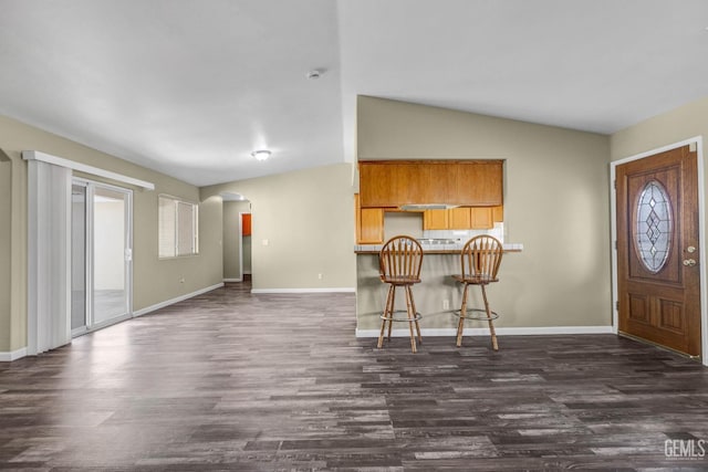 entrance foyer with arched walkways, vaulted ceiling, dark wood-style floors, and baseboards