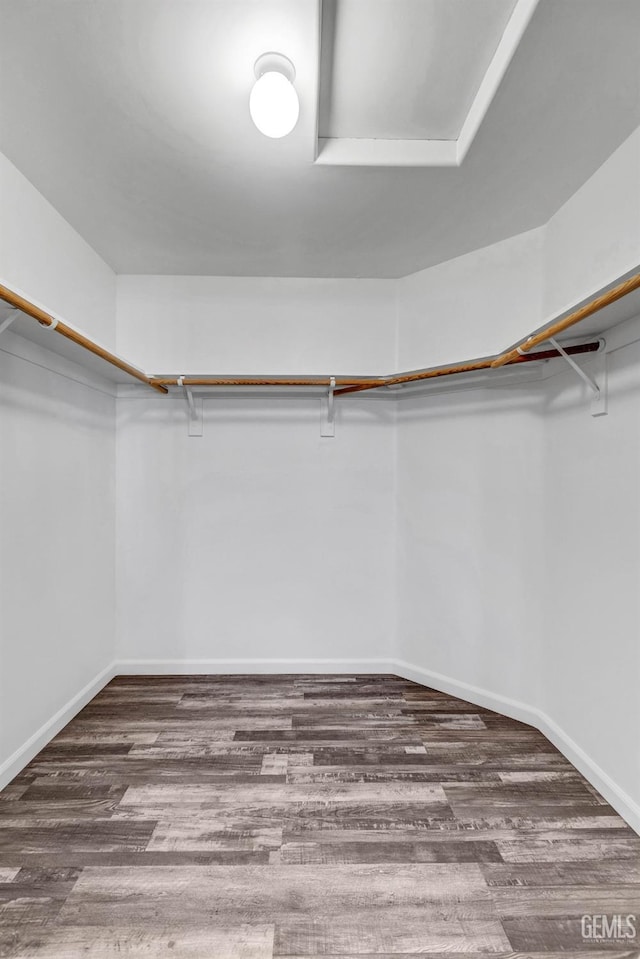 spacious closet featuring wood finished floors