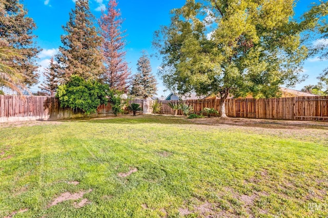 view of yard with a fenced backyard