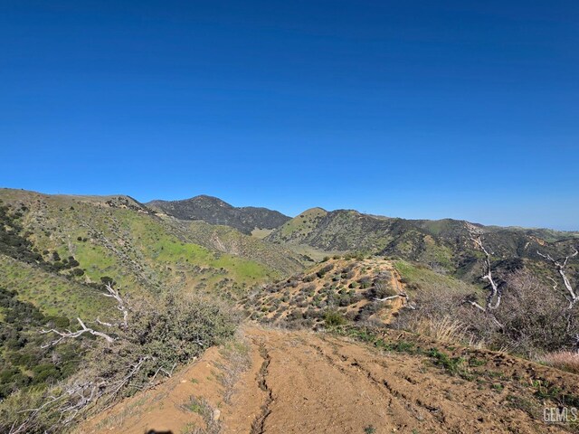 4501 Ridge Route Dr, Lebec, CA 93243