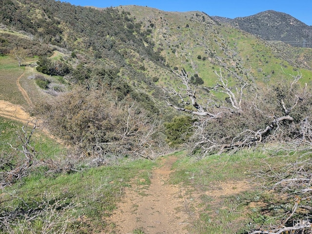 4501 Ridge Route Dr, Lebec, CA 93243