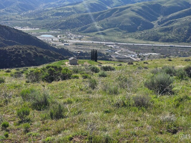 4501 Ridge Route Dr, Lebec, CA 93243
