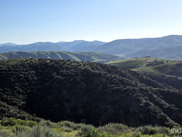4501 Ridge Route Dr, Lebec, CA 93243