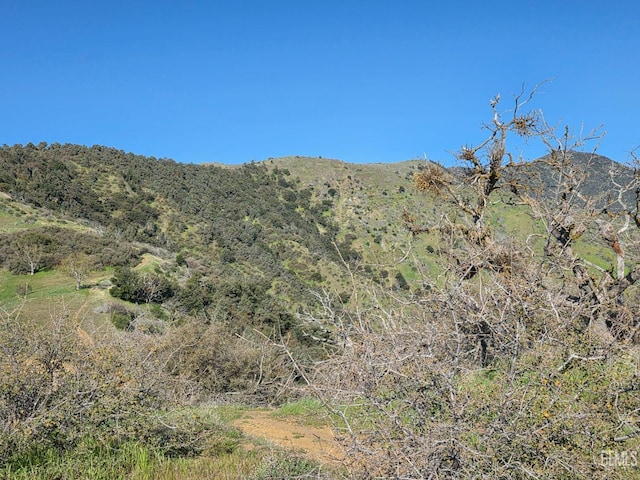 4501 Ridge Route Dr, Lebec, CA 93243