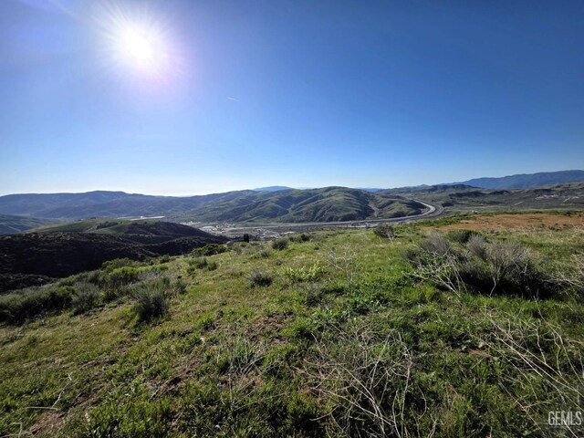 4501 Ridge Route Dr, Lebec, CA 93243