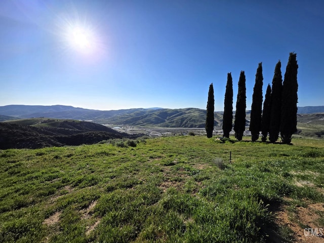 4501 Ridge Route Dr, Lebec, CA 93243