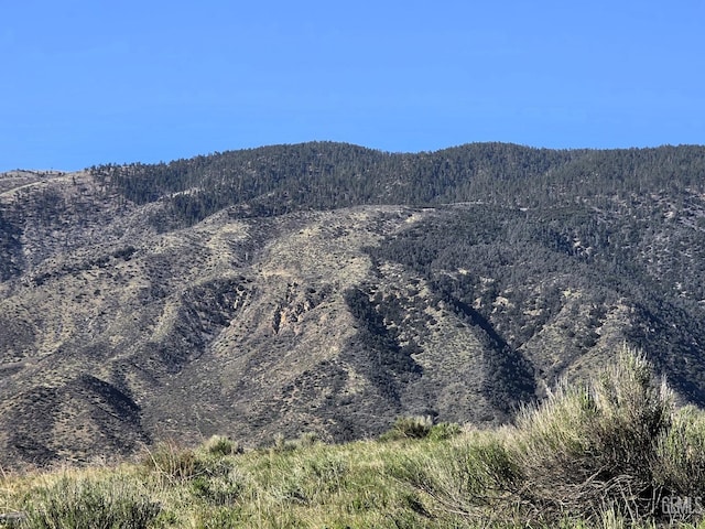 4501 Ridge Route Dr, Lebec, CA 93243