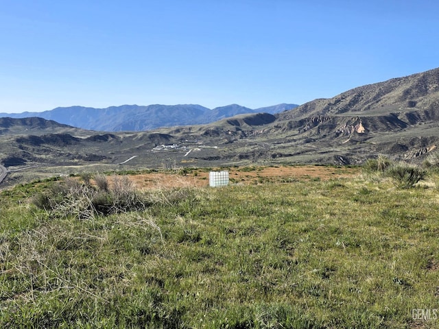 4501 Ridge Route Dr, Lebec, CA 93243