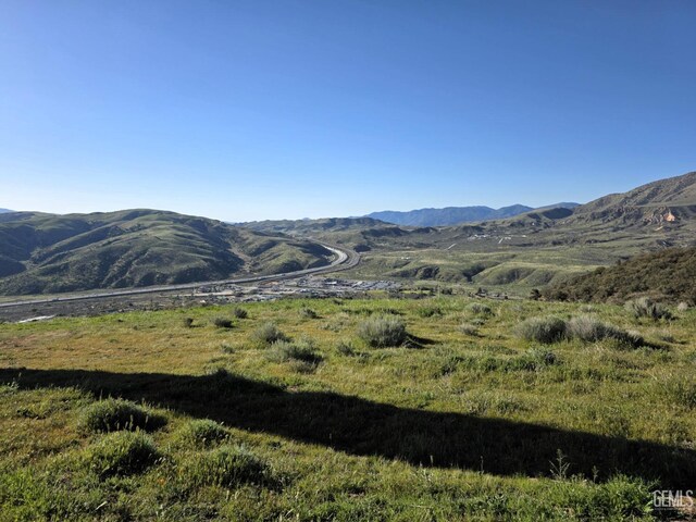 4501 Ridge Route Dr, Lebec, CA 93243
