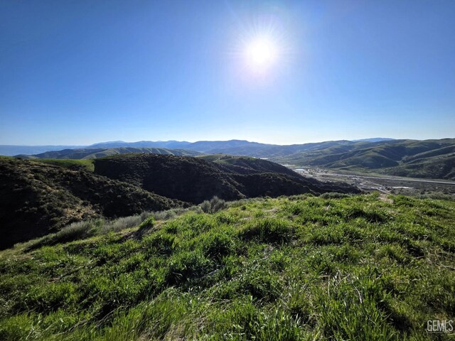 4501 Ridge Route Dr, Lebec, CA 93243